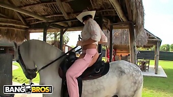 Rachel Starr'S Impressive Horse-Riding Skills Compared To Her Skills On A Penis